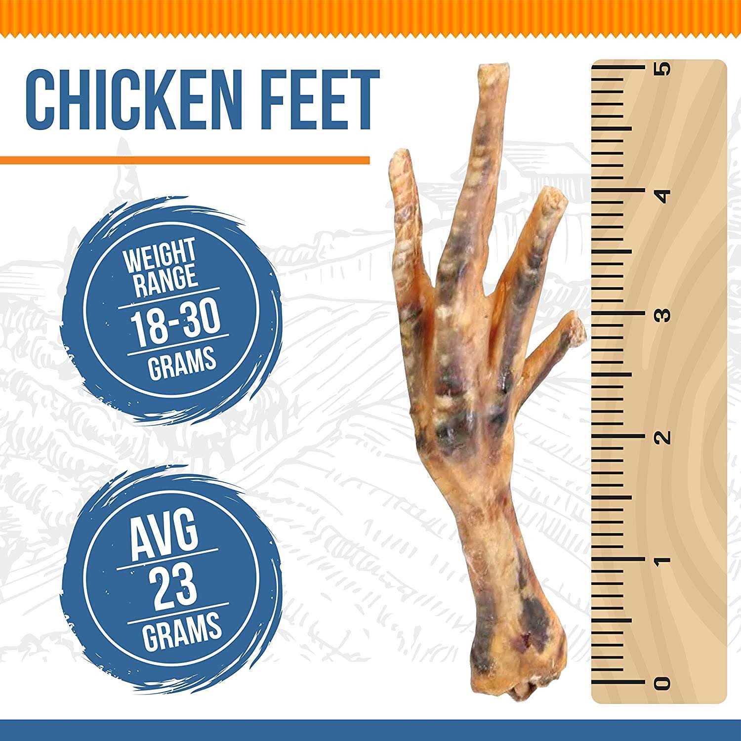 K9warehouse Chicken Feet Dog - Nail Gallerys