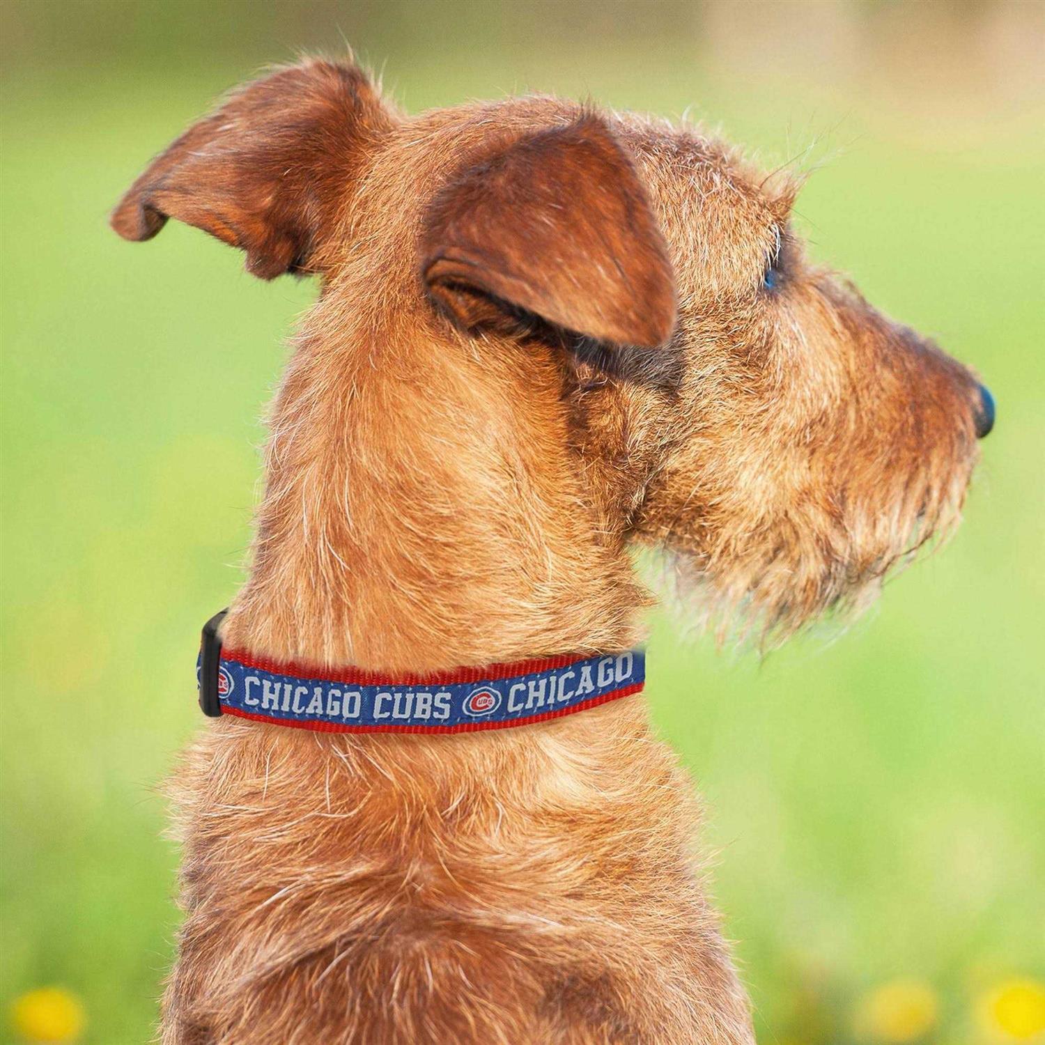 MLB Chicago Cubs Dog Collar - Nail Gallerys