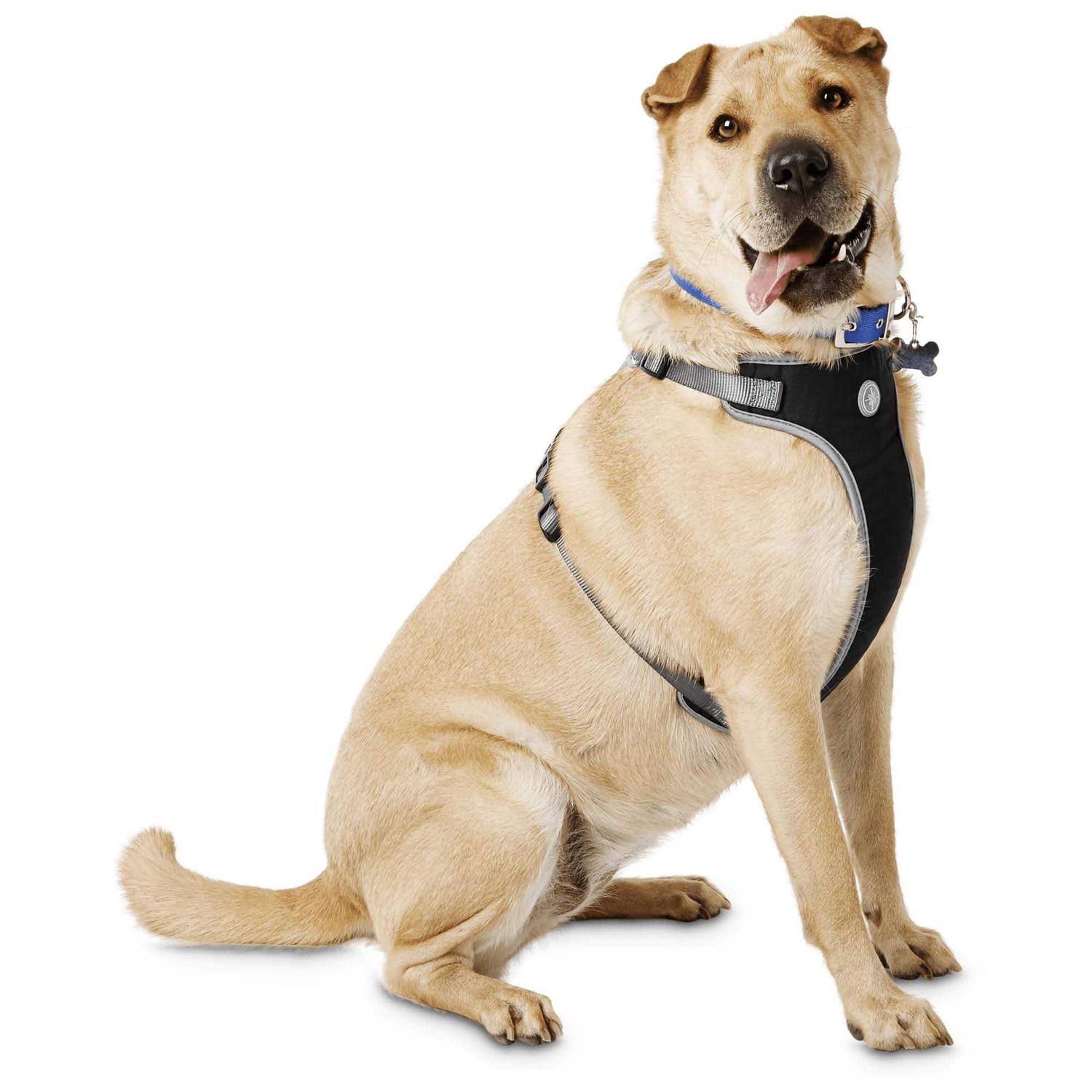 Youly The Classic Black Harness for Large Dog - Nail Gallerys