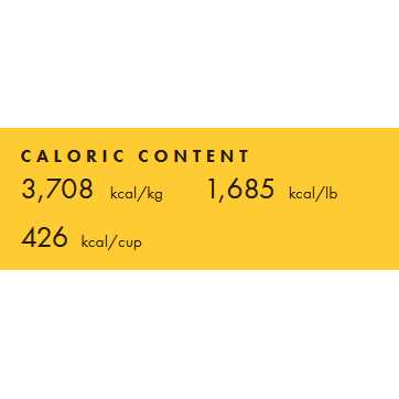 Fromm Four Star Hasen Duckenpfeffer Cat Food - Nail Gallerys