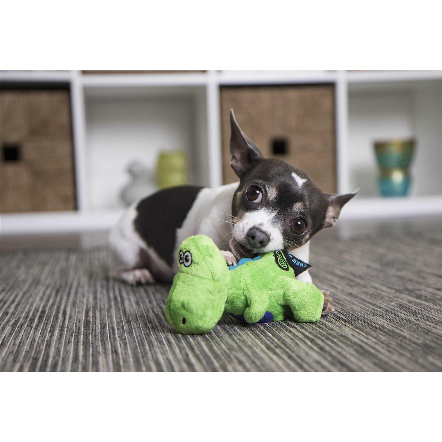 goDog Just for Me Chew Guard T-Rex Dog Toy - Nail Gallerys