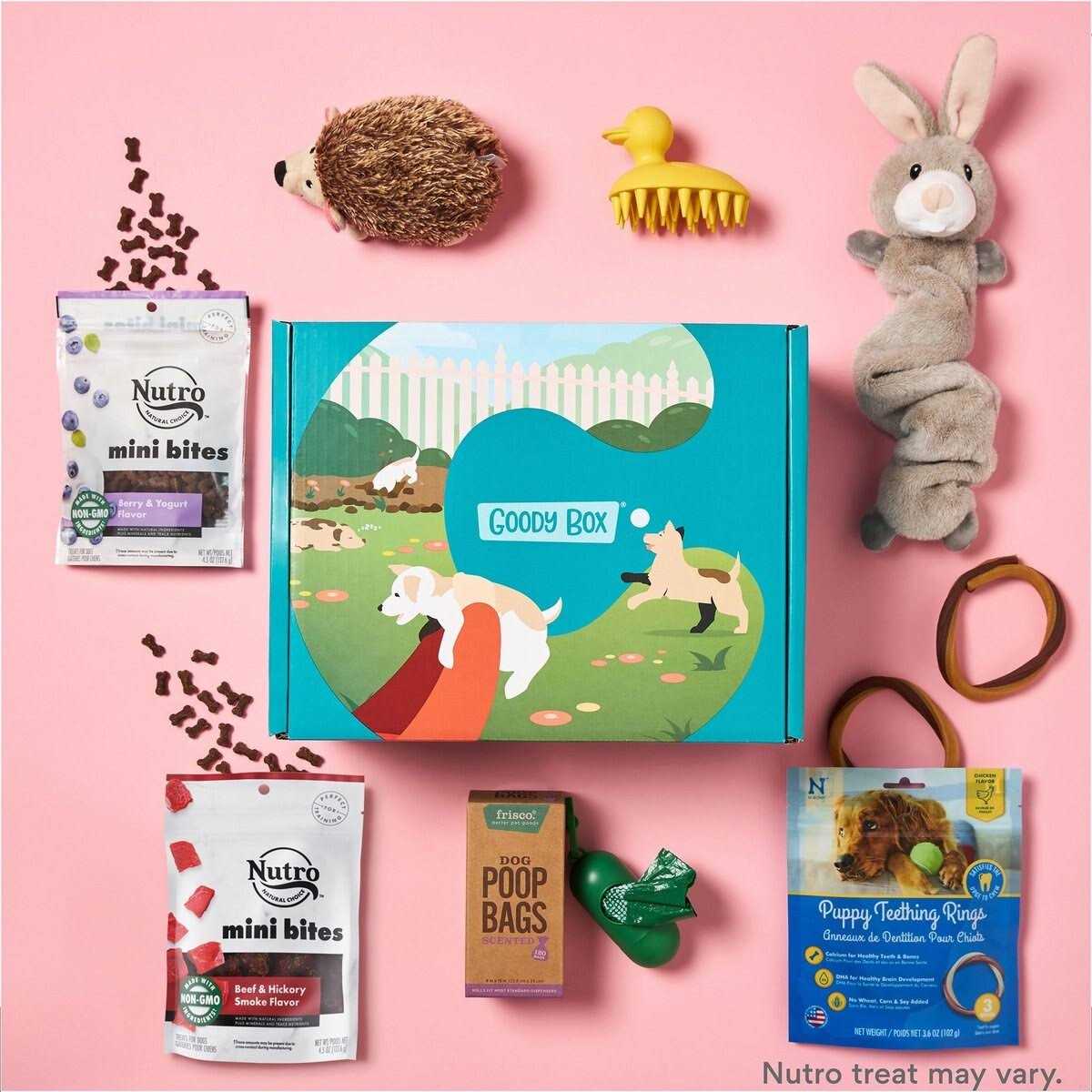 Goody Box Puppy Toys - Nail Gallerys