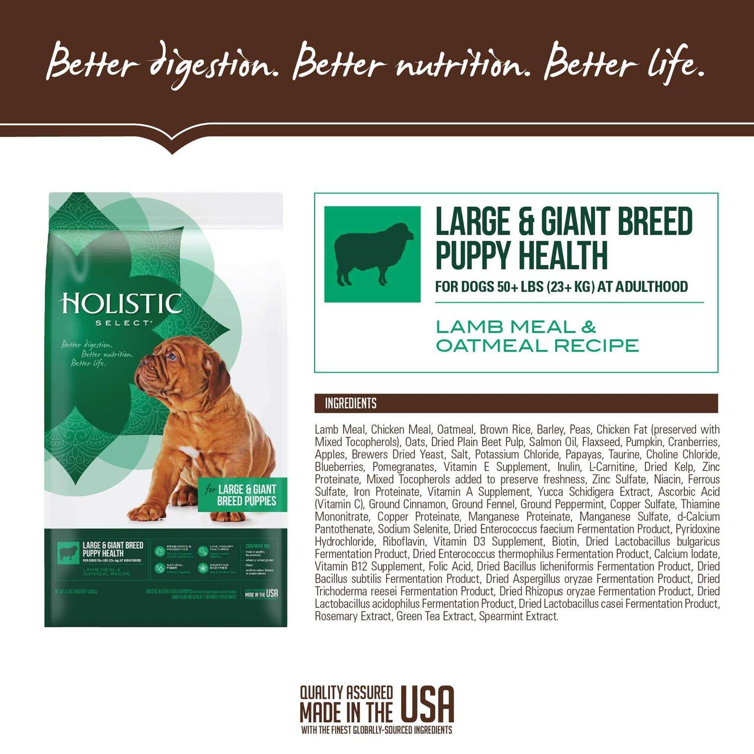 Holistic Select Large Giant Breed Puppy Health Lamb Meal Oatmeal Dry Dog Food - Nail Gallerys