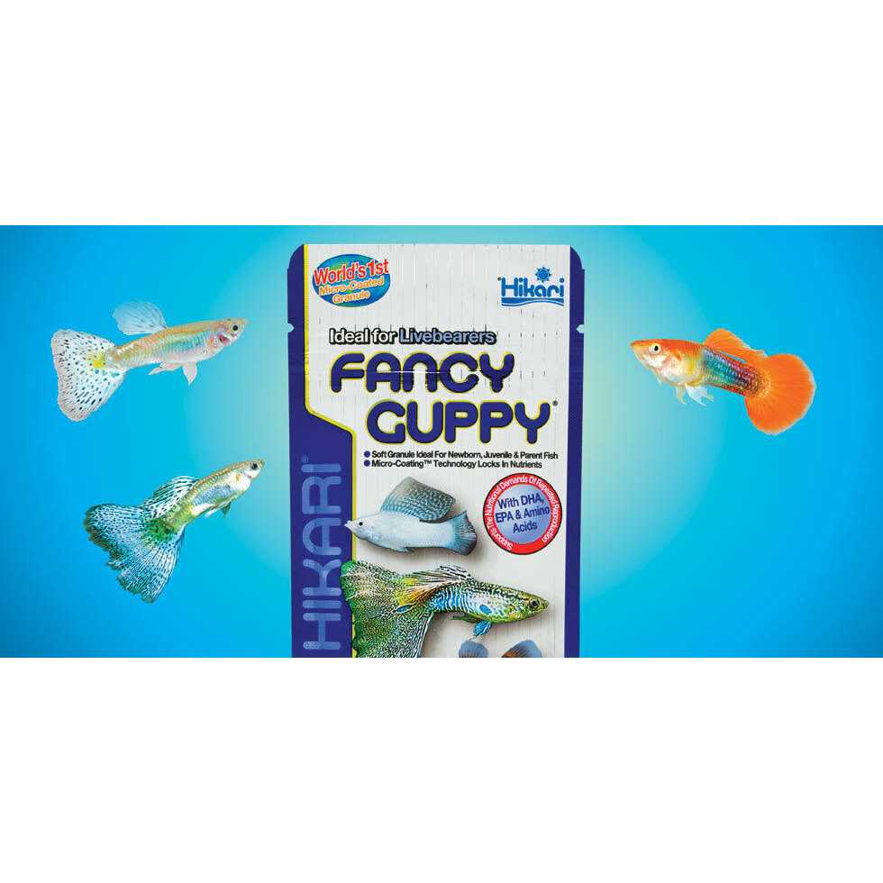 Hikari Fancy Guppy Fish Food - Nail Gallerys