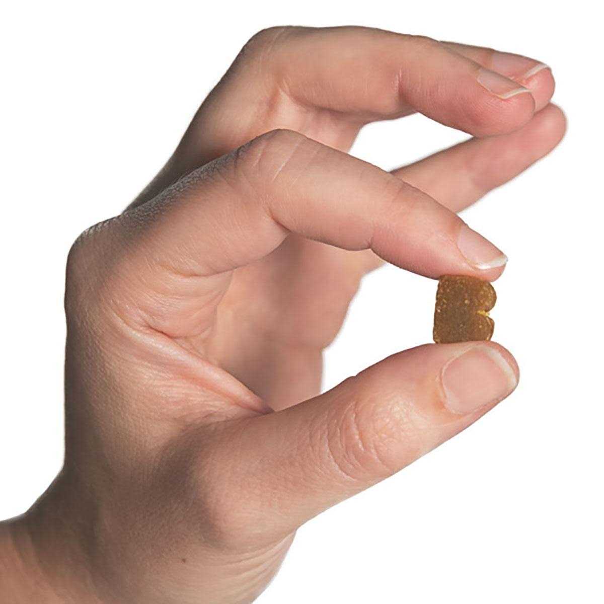 Bixbi Pocket Trainers Dog Treats - Nail Gallerys