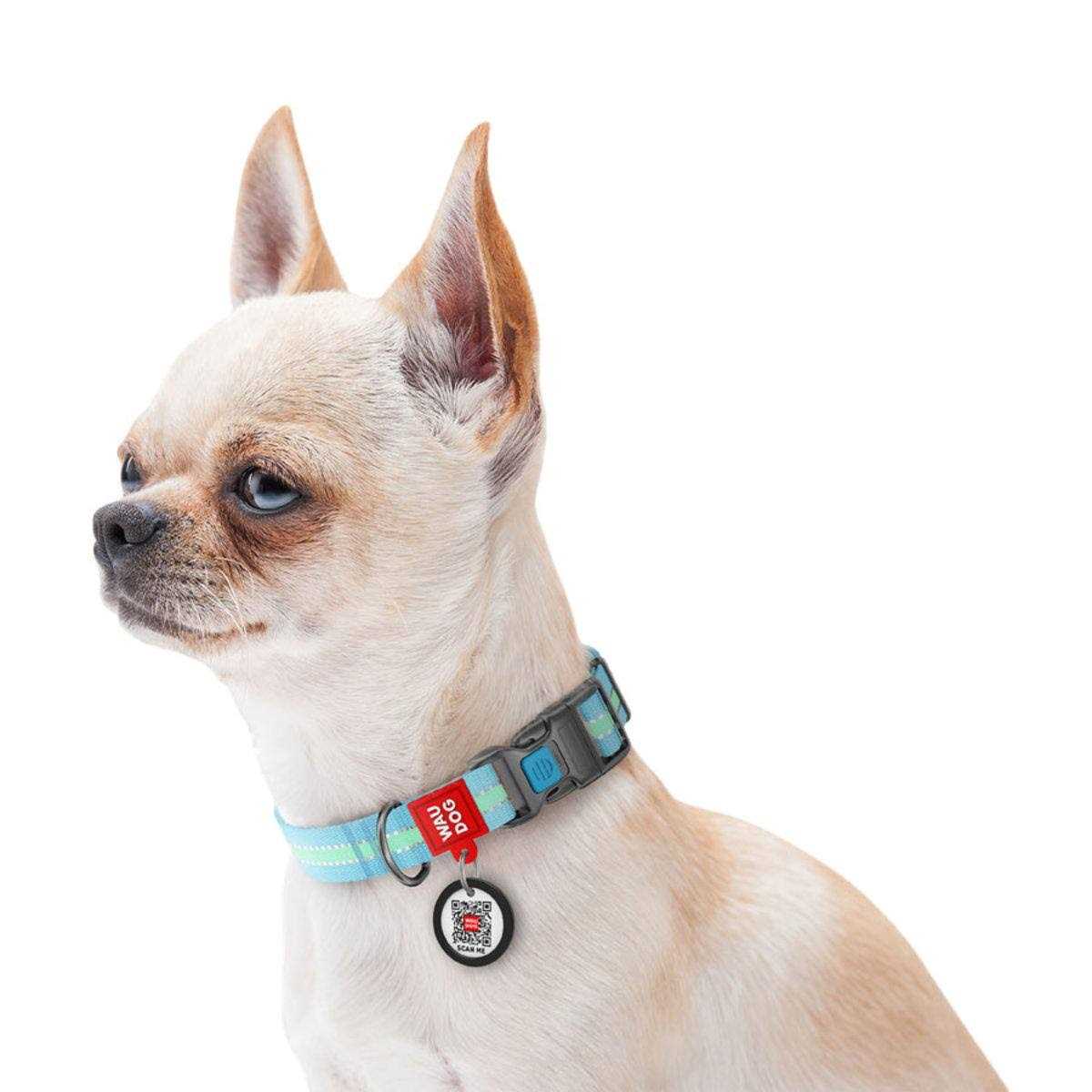 WAUDOG Glow in the Dark QR Passport Nylon Standard Dog Collar Blue - Nail Gallerys