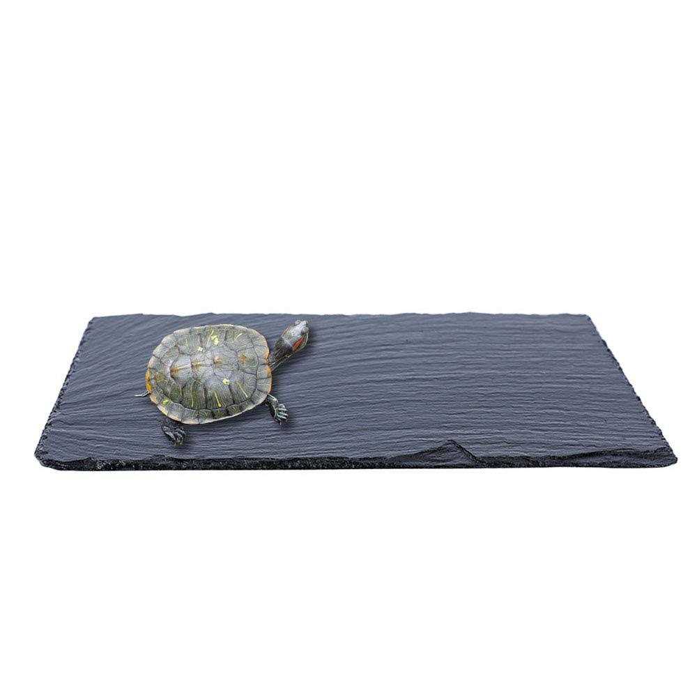 ACKEIVTO Small Slate Reptile Basking Platform Tortoise Feeding Dish Natural Rock Reptile Food Bowl Landscape Habitat Decor for Turtle Lizard Bearded - Nail Gallerys