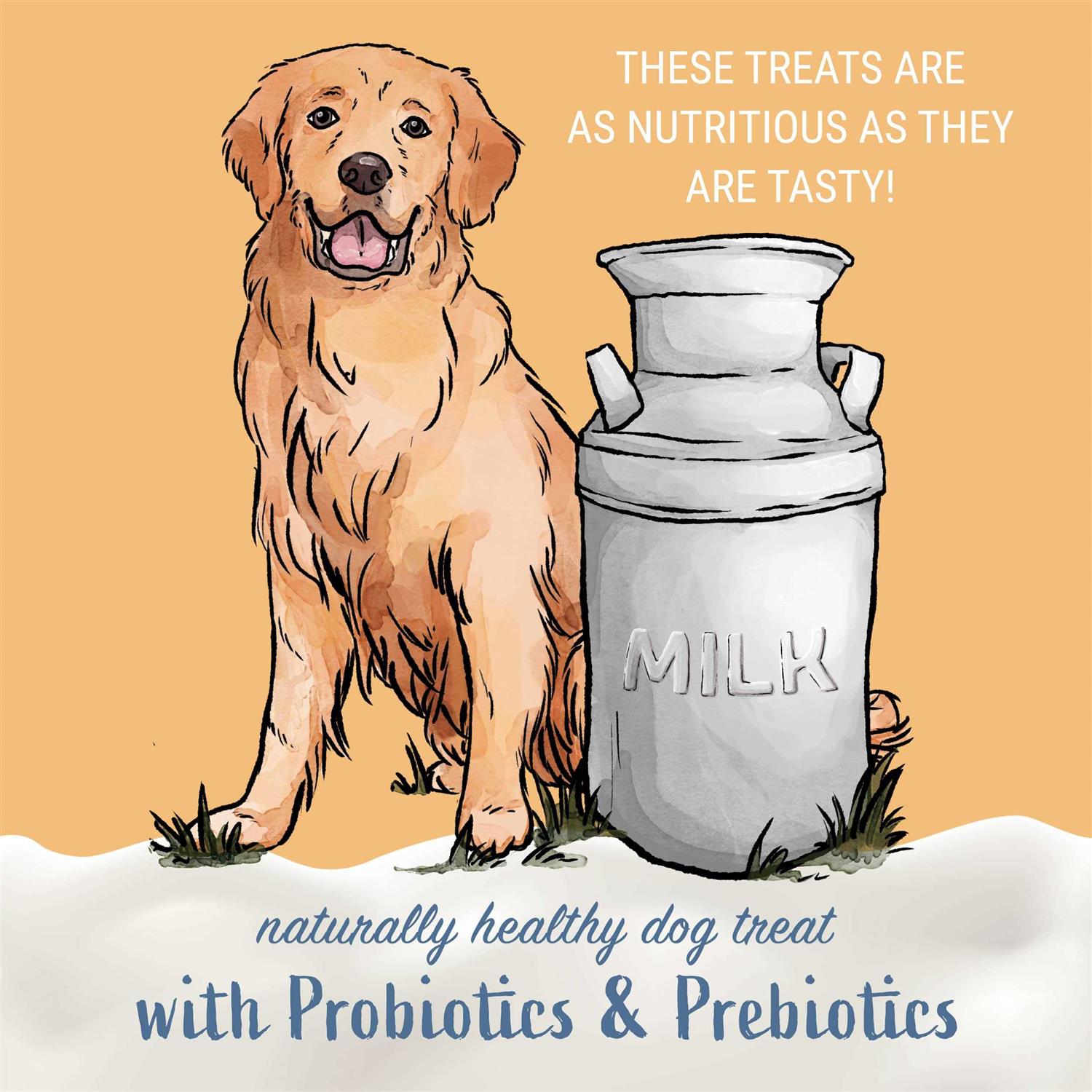 Himalayan Dog Chew Yogurt Sticks Peanut Butter for Dogs, 4.8 oz., Count of 6 - Nail Gallerys