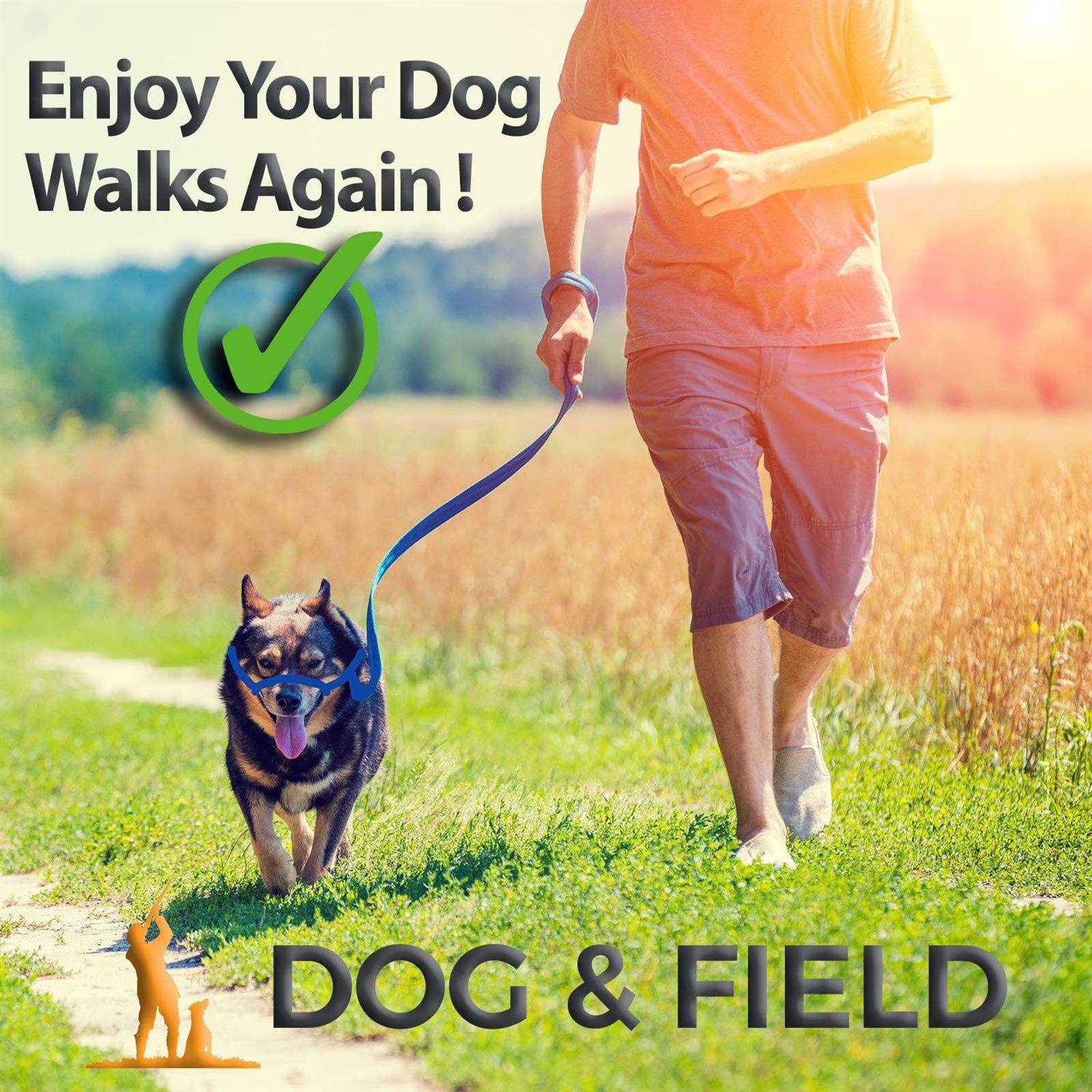 Dog & Field Figure 8 Anti Pull LeashHalterHead collar One Size Fits All - Nail Gallerys