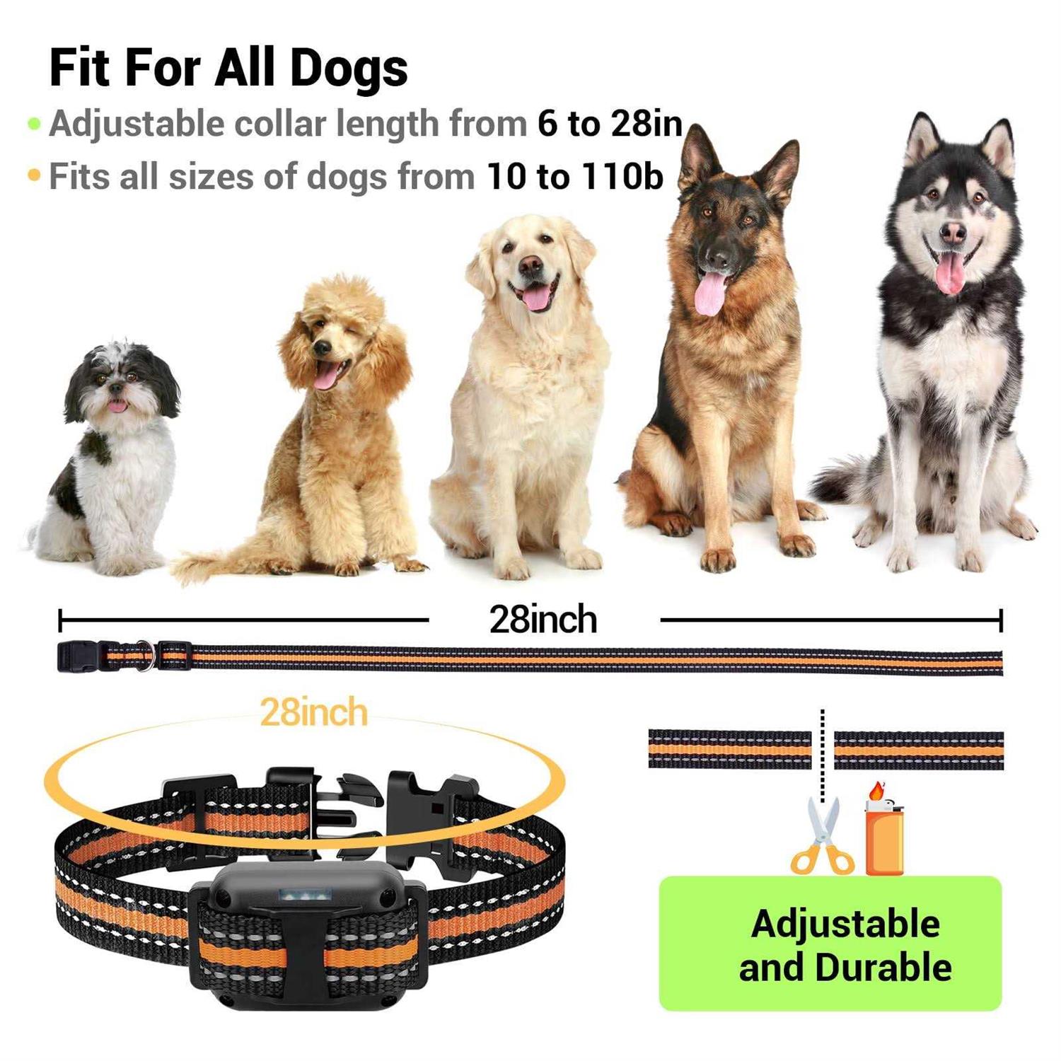 BEBANG 2600FT Dog Training Collar Dog Shock Collar with Remote 3 Modes Beep Vibration Shock - Nail Gallerys