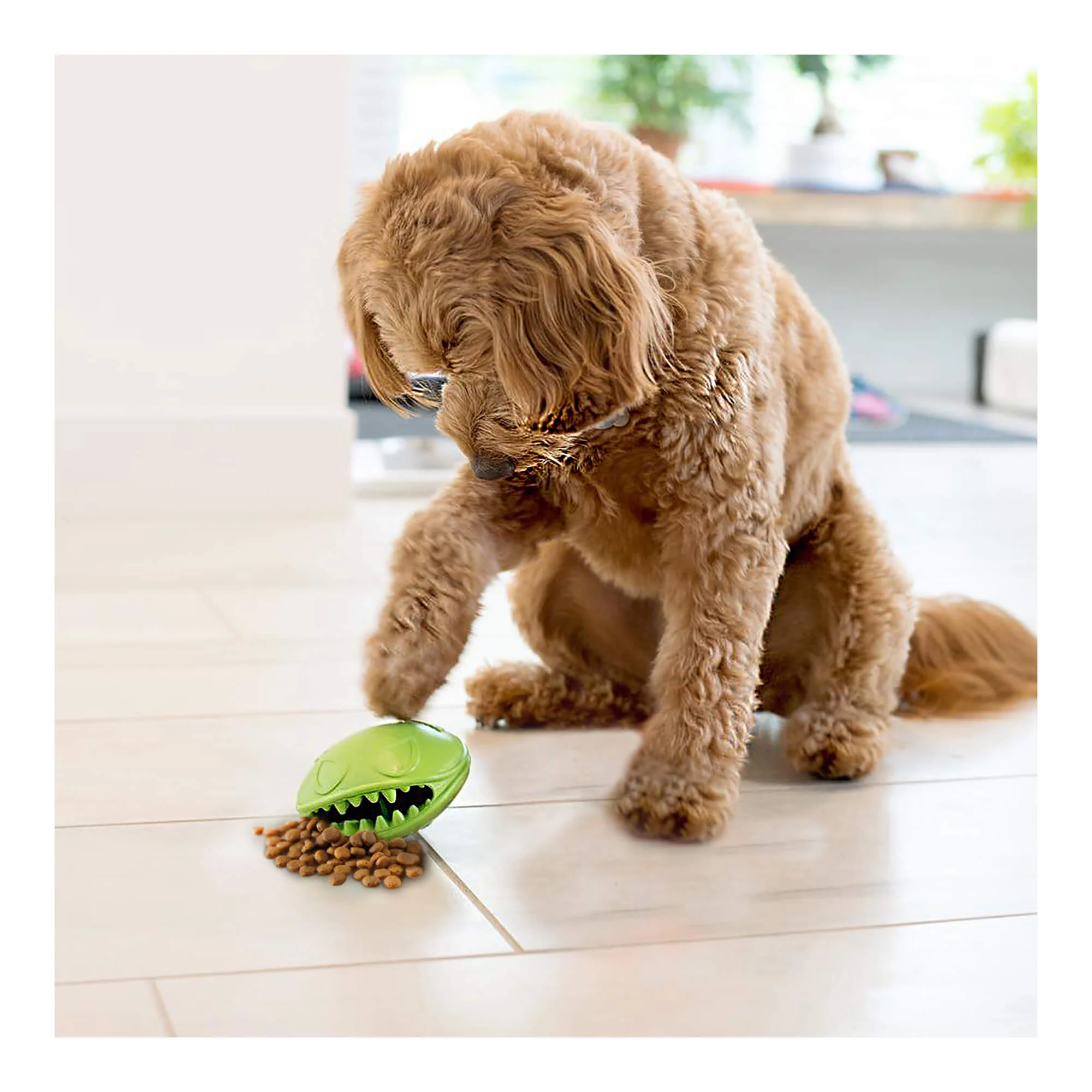 Monster Mouth Treat Dispenser - Nail Gallerys