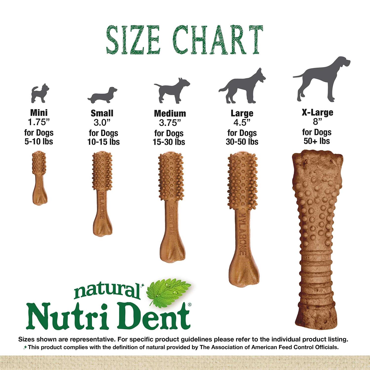 Nylabone Nutri Dent Filet Mignon Flavored Dog Dental Chews - Nail Gallerys