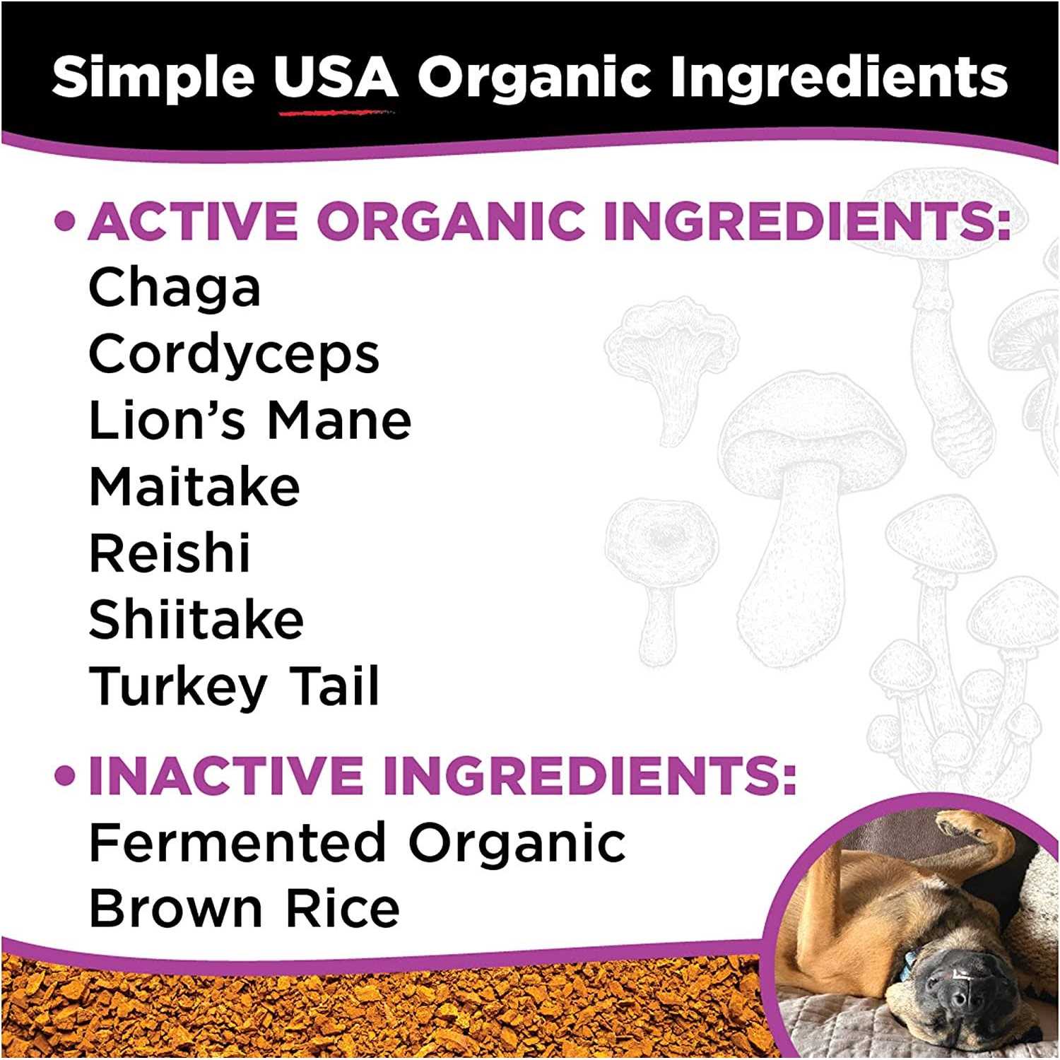 Super Snouts Super Shrooms - Nail Gallerys