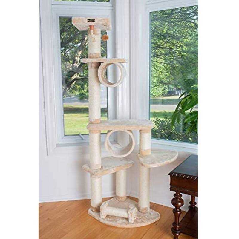 Dechra DermaLyte Shampoo - Nail Gallerys