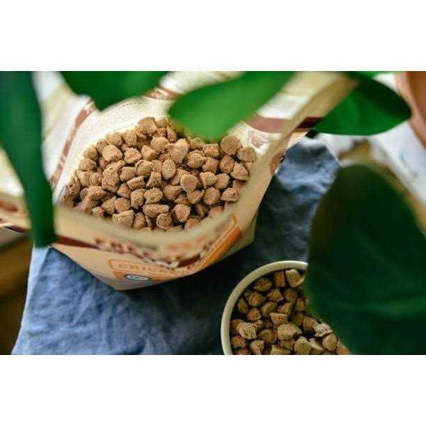 Boss Cat Freeze Dried Raw Chicken 9oz* - Nail Gallerys