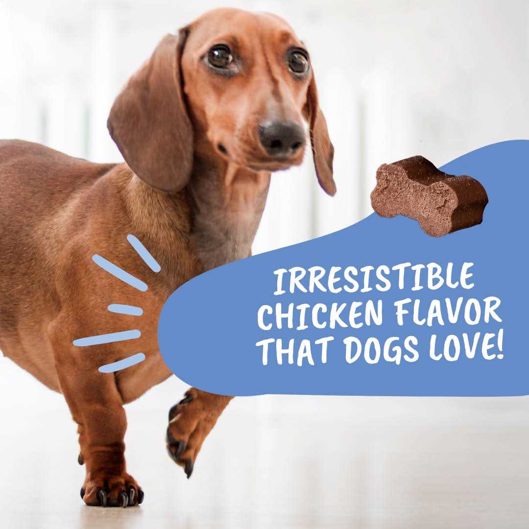 Under the Weather IVDD Dog Supplement, Disc and Spine Relief for Dogs - Nail Gallerys