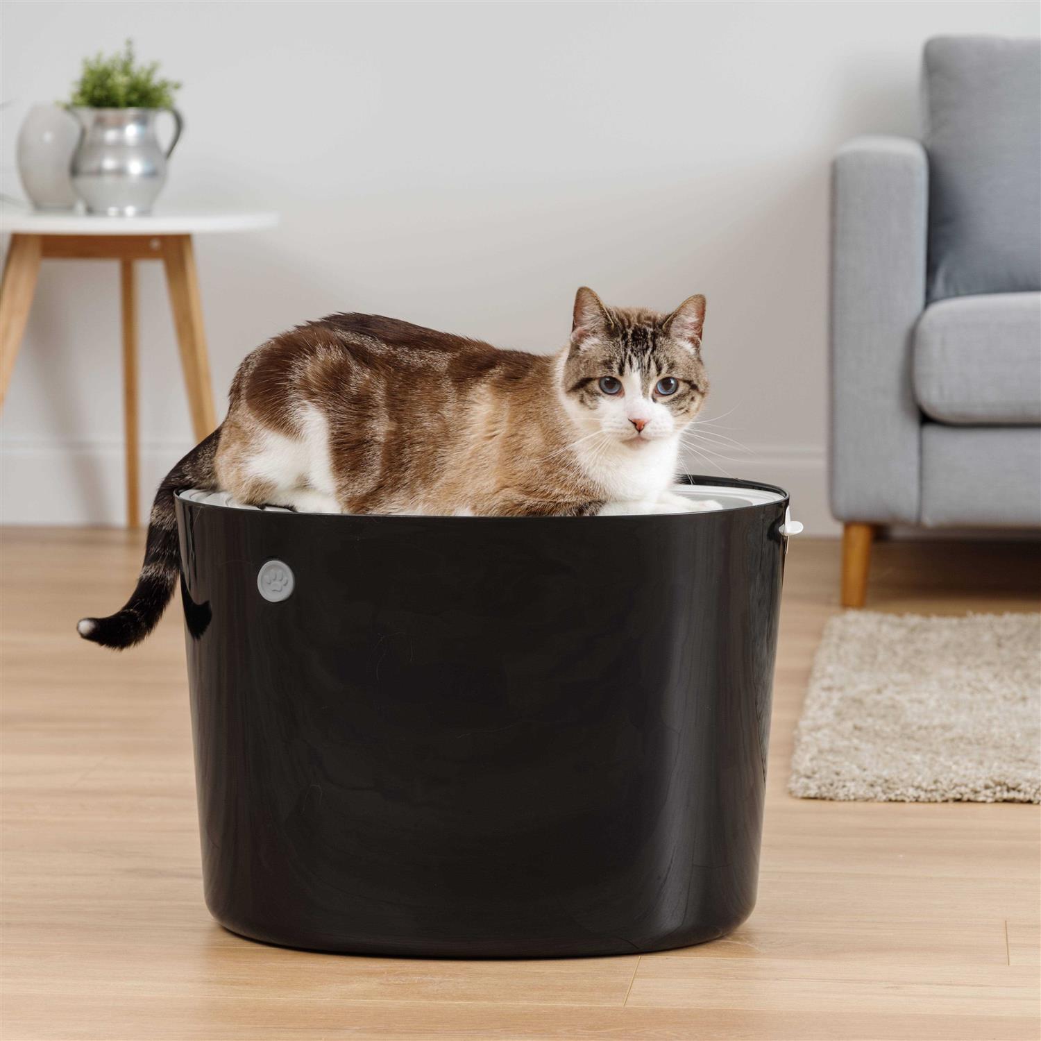 IRIS USA Top Entry Cat Litter Box with Scoop - Nail Gallerys