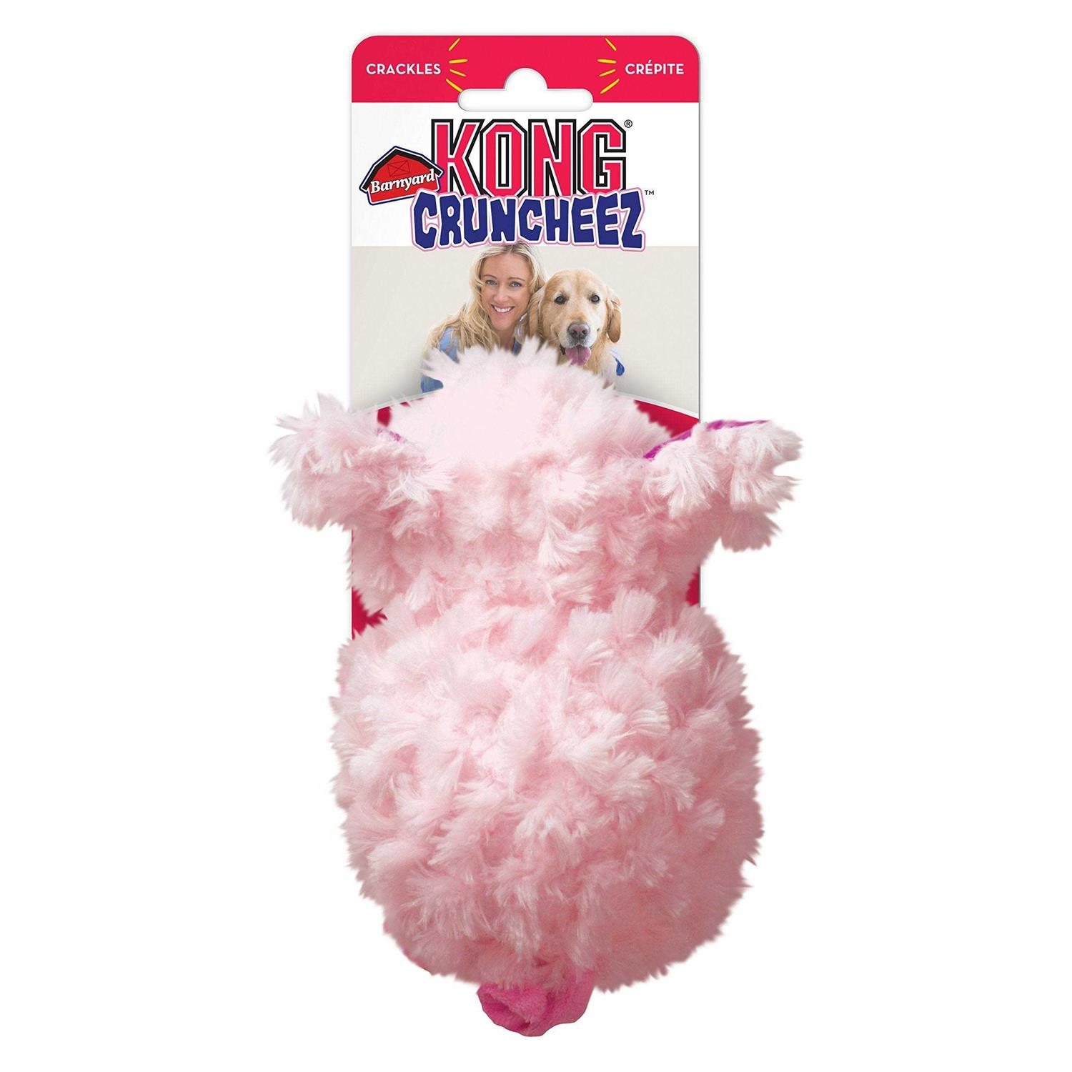Kong Barnyard Cruncheez Pig Dog Toy - Nail Gallerys