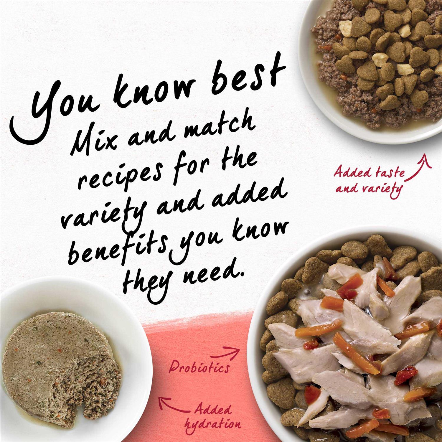 Purina Beyond Cat Dry Food - Nail Gallerys