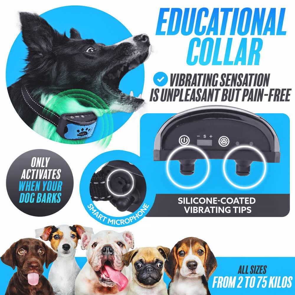 Anti Bark Collar Dog Bark Collar - Nail Gallerys