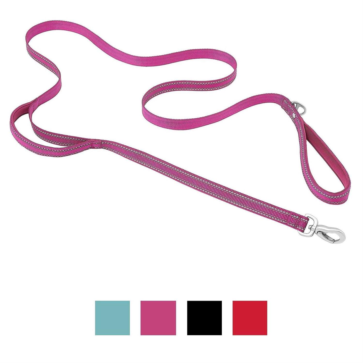 Frisco Outdoor Nylon Reflective Comfort Padded Dog Leash - Nail Gallerys