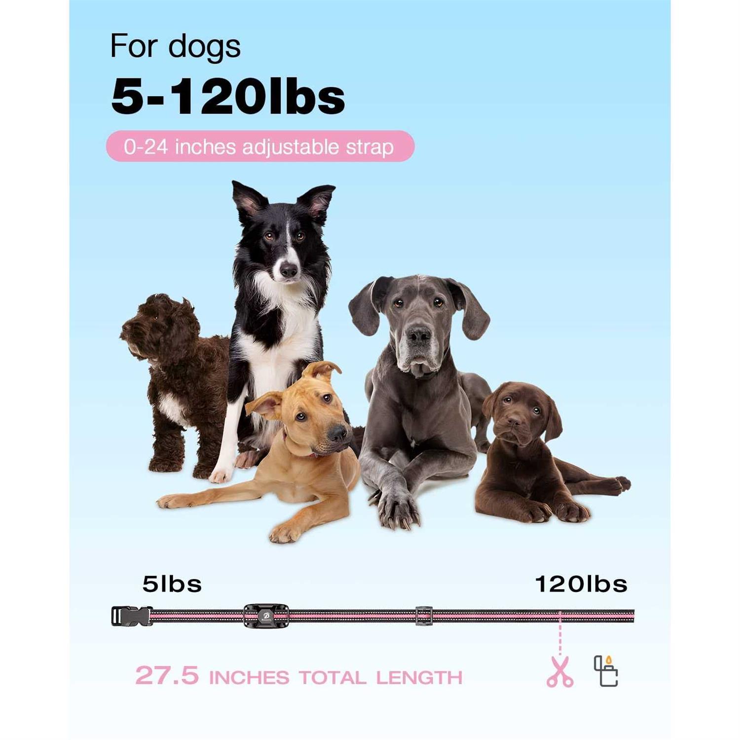 Bousnic Dog Shock collar 3300Ft Dog Training collar with Remote for 5-120lbs Small Medium Large Dogs Rechargeable - Nail Gallerys