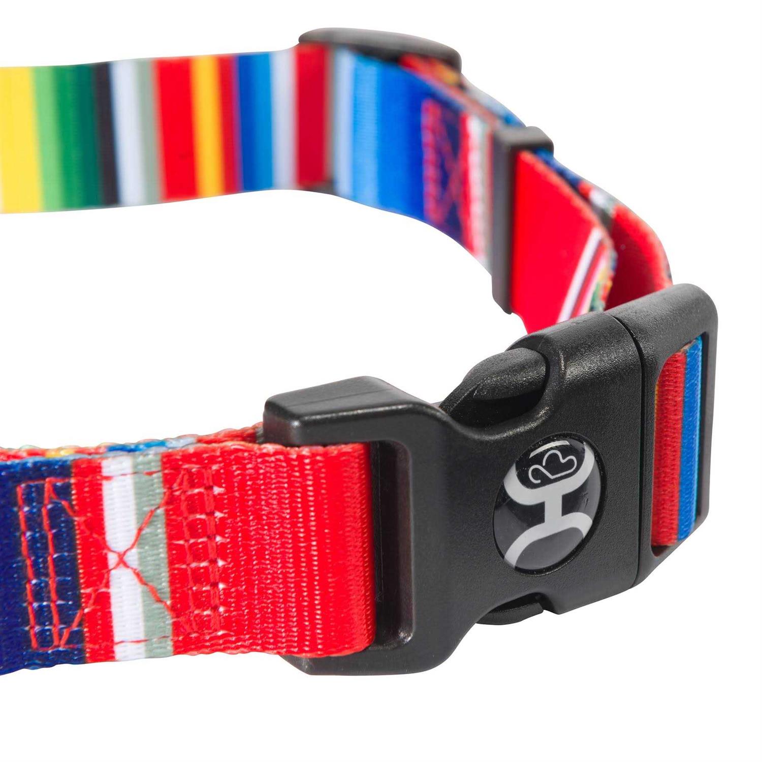 Hooey Nomad Dog Collar - Nail Gallerys