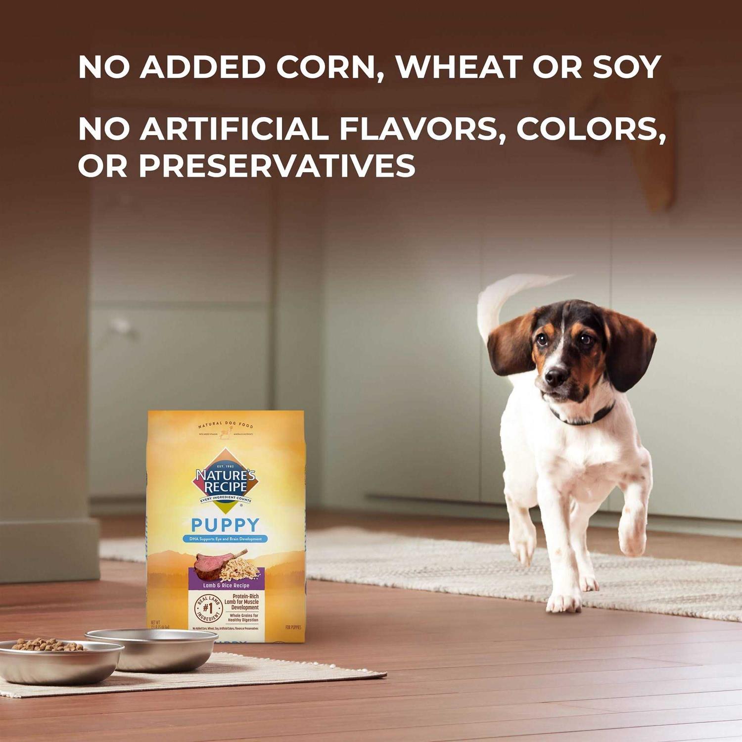 Natures Recipe Puppy Dry Dog Food Lamb & Rice - Nail Gallerys