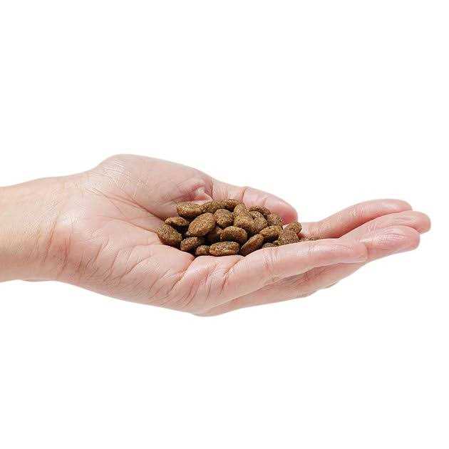 Dr. Pol Dog Food Grain-Free - Nail Gallerys