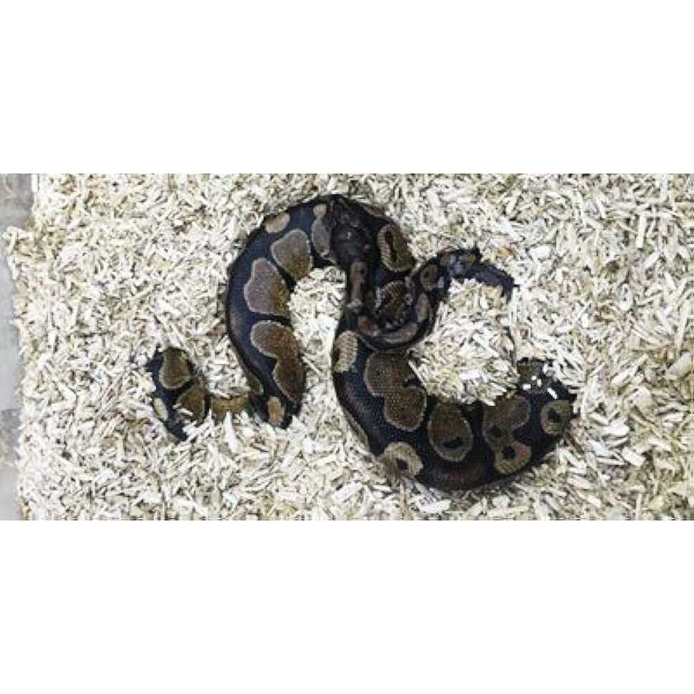 Small Animal Hemp Bedding - Nail Gallerys