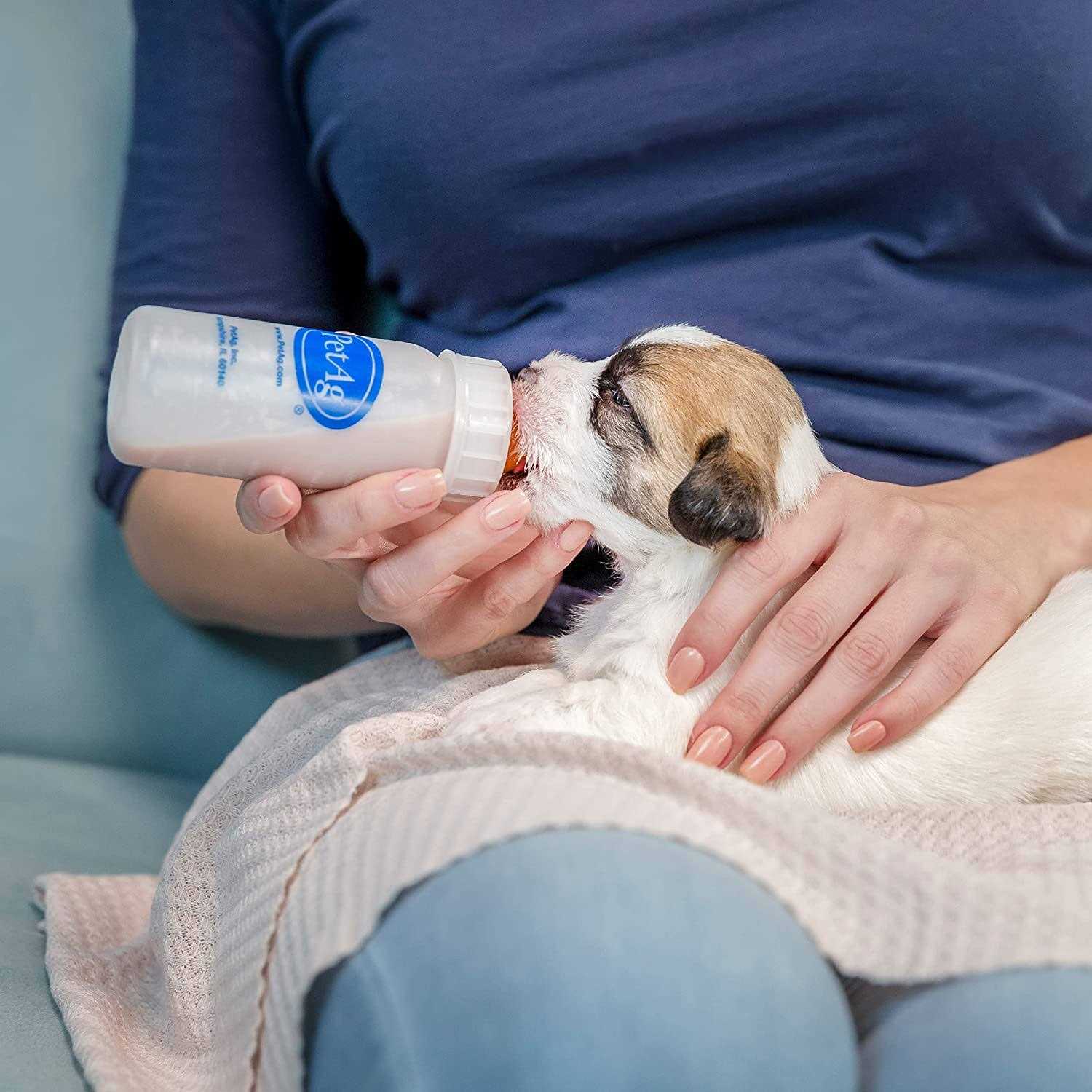 PetAg Nurser Bottle - Nail Gallerys