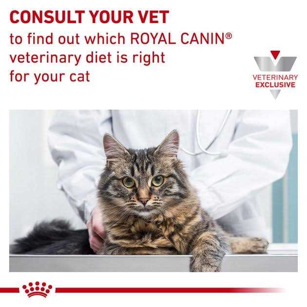 Royal Canin Veterinary Diet Feline Satiety Support Weight Management Adult Cat Loaf in Sauce Wet Food – - Nail Gallerys