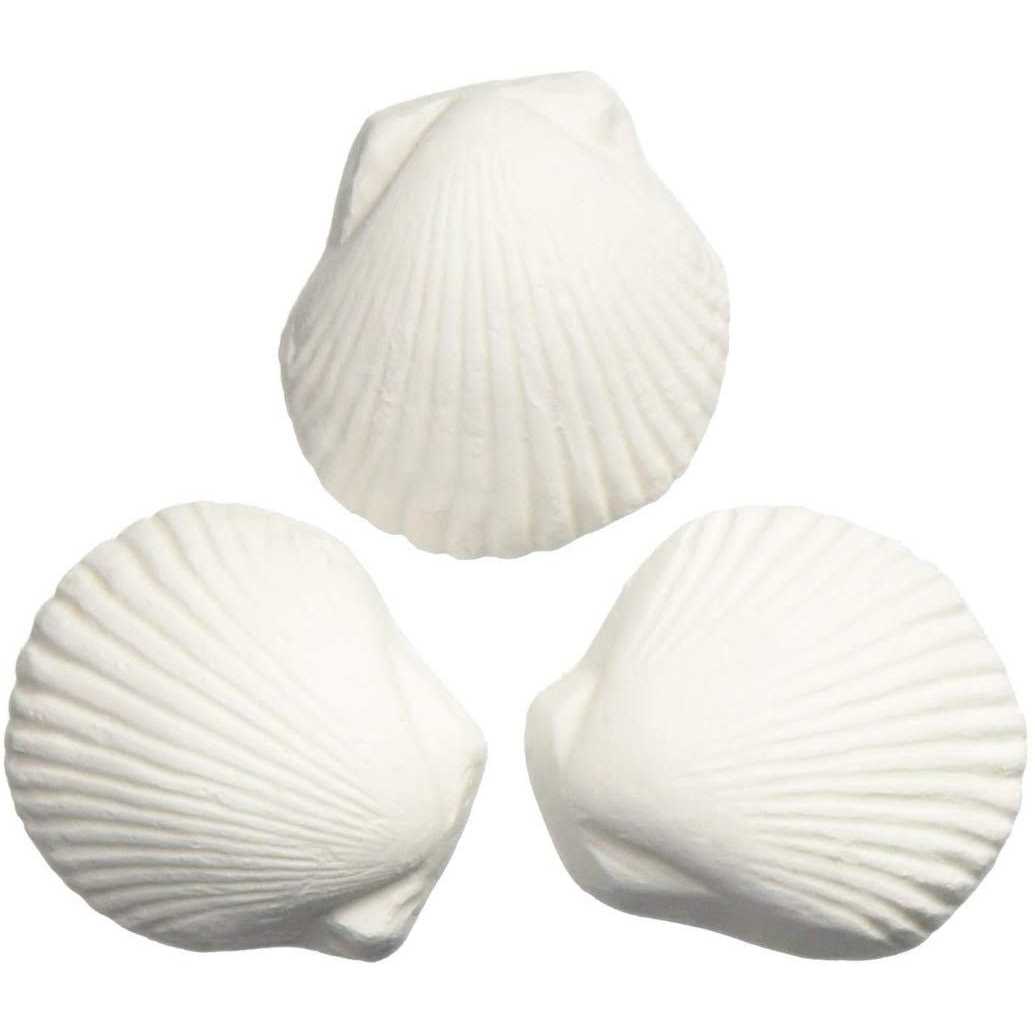 Weco Wonder Shell-Large - Nail Gallerys