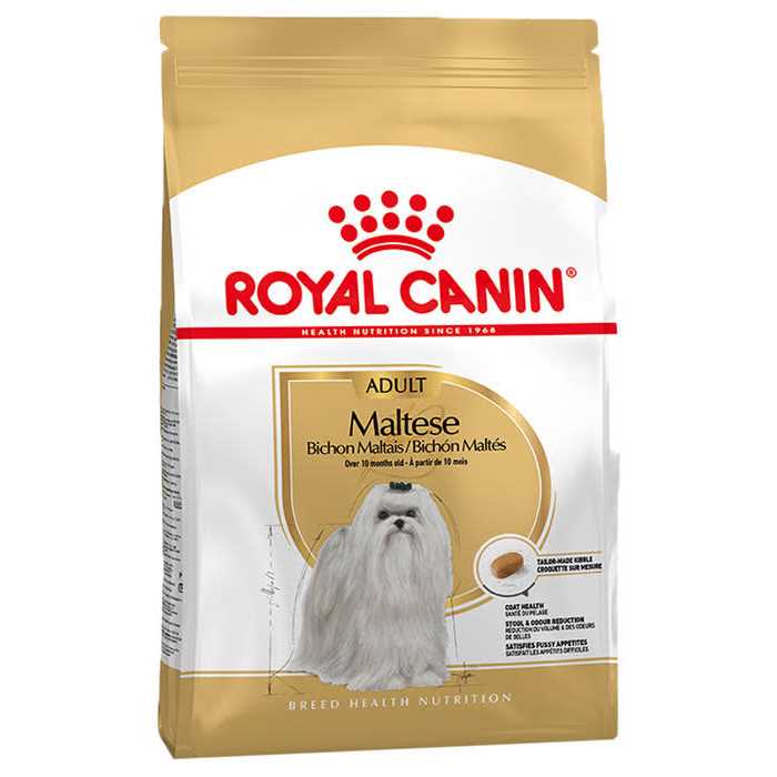Royal Canin Breed Health Nutrition Adult Maltese Dry Dog Food - Nail Gallerys