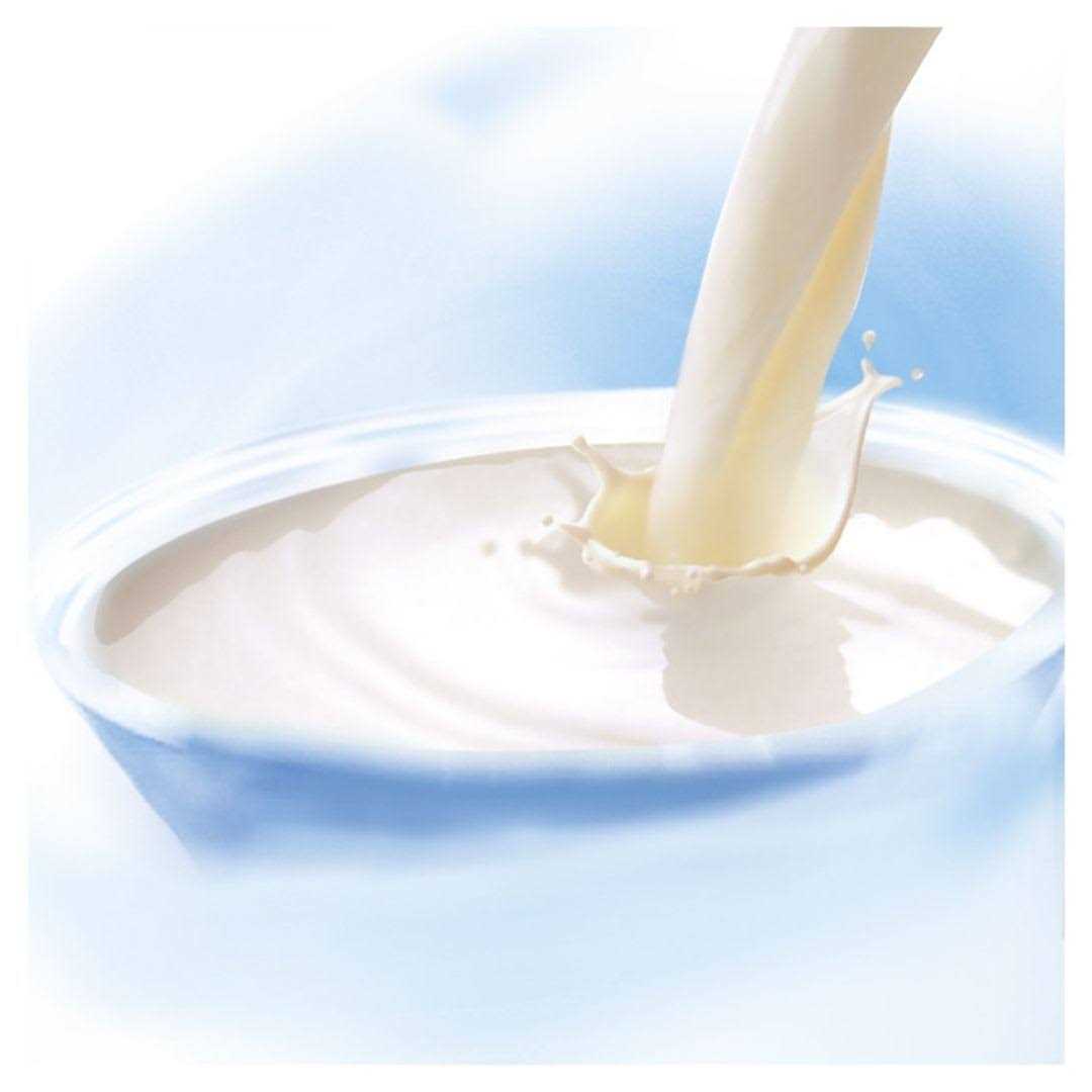 Whiskas Cat Milk - Nail Gallerys