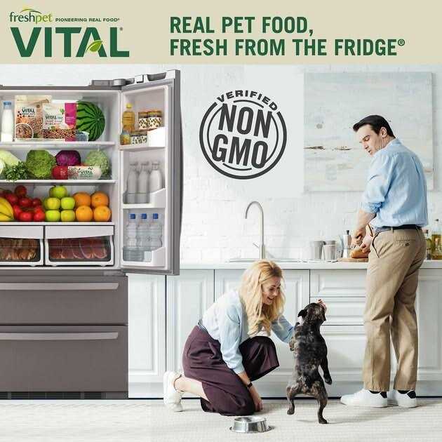 Freshpet Vital Complete Meals Grain-Free Chicken Fresh Small Breed Dog Food - Nail Gallerys