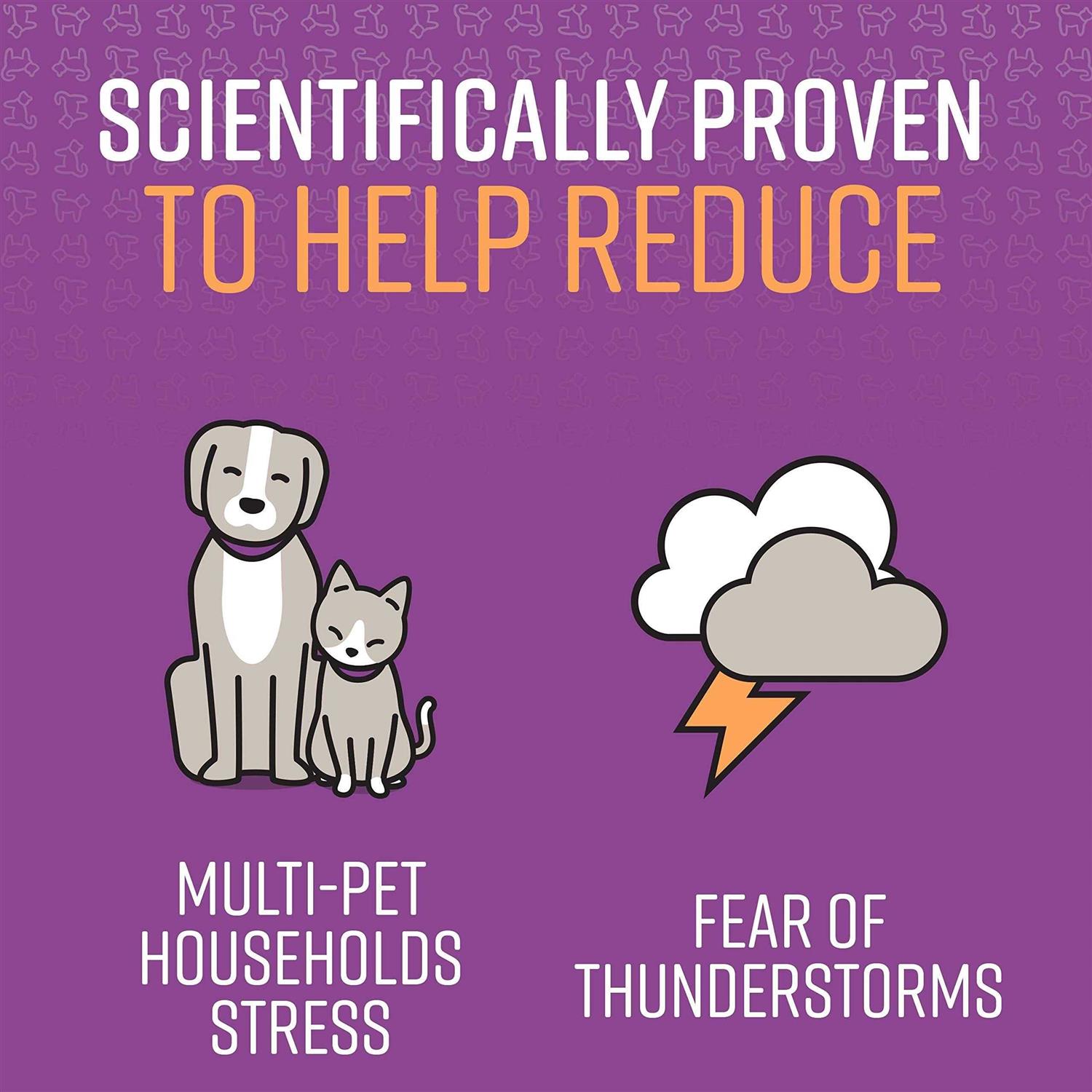 Sentry Calming Spray for Cats - Nail Gallerys