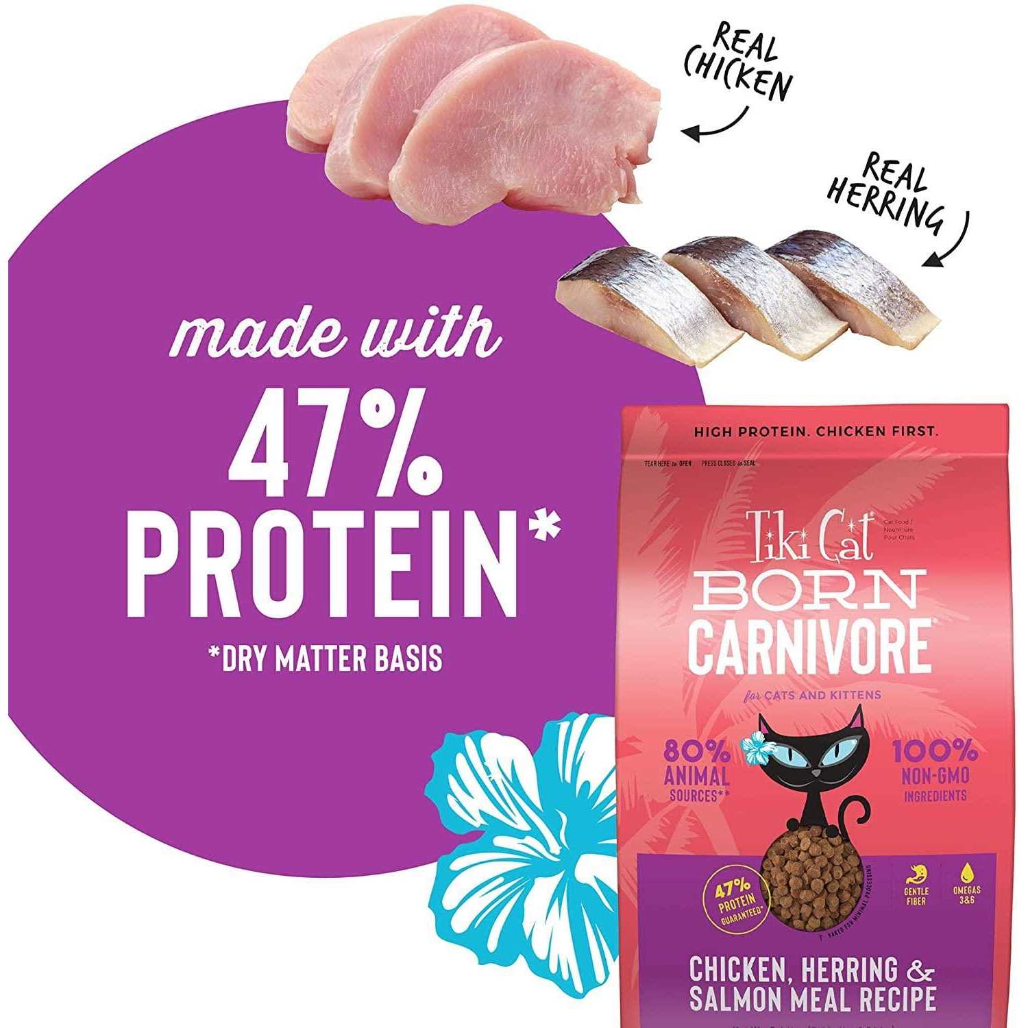 Tiki Cat Born Carnivore Herring Dry Food - Nail Gallerys