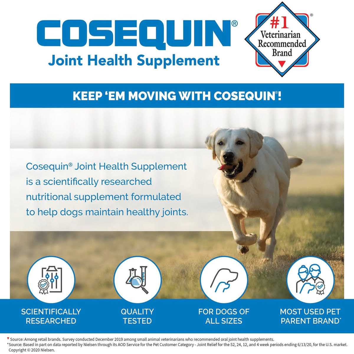 Cosequin Soft Chews with MSM Plus Omega-3s for Dogs - Nail Gallerys