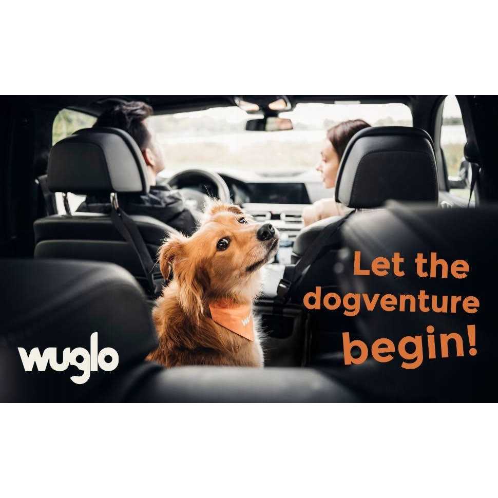 Wuglo Extra Stable Dog car Seat Reinforced car Dog Seat for Medium-Sized Dogs with 4 Fastening Straps - Nail Gallerys