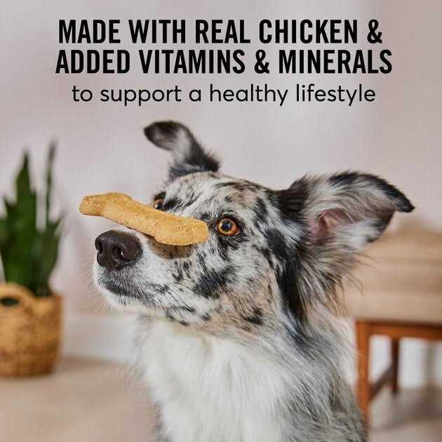 American Journey Active Life Chicken & Rice Flavor Large Biscuit Dog Treats - Nail Gallerys