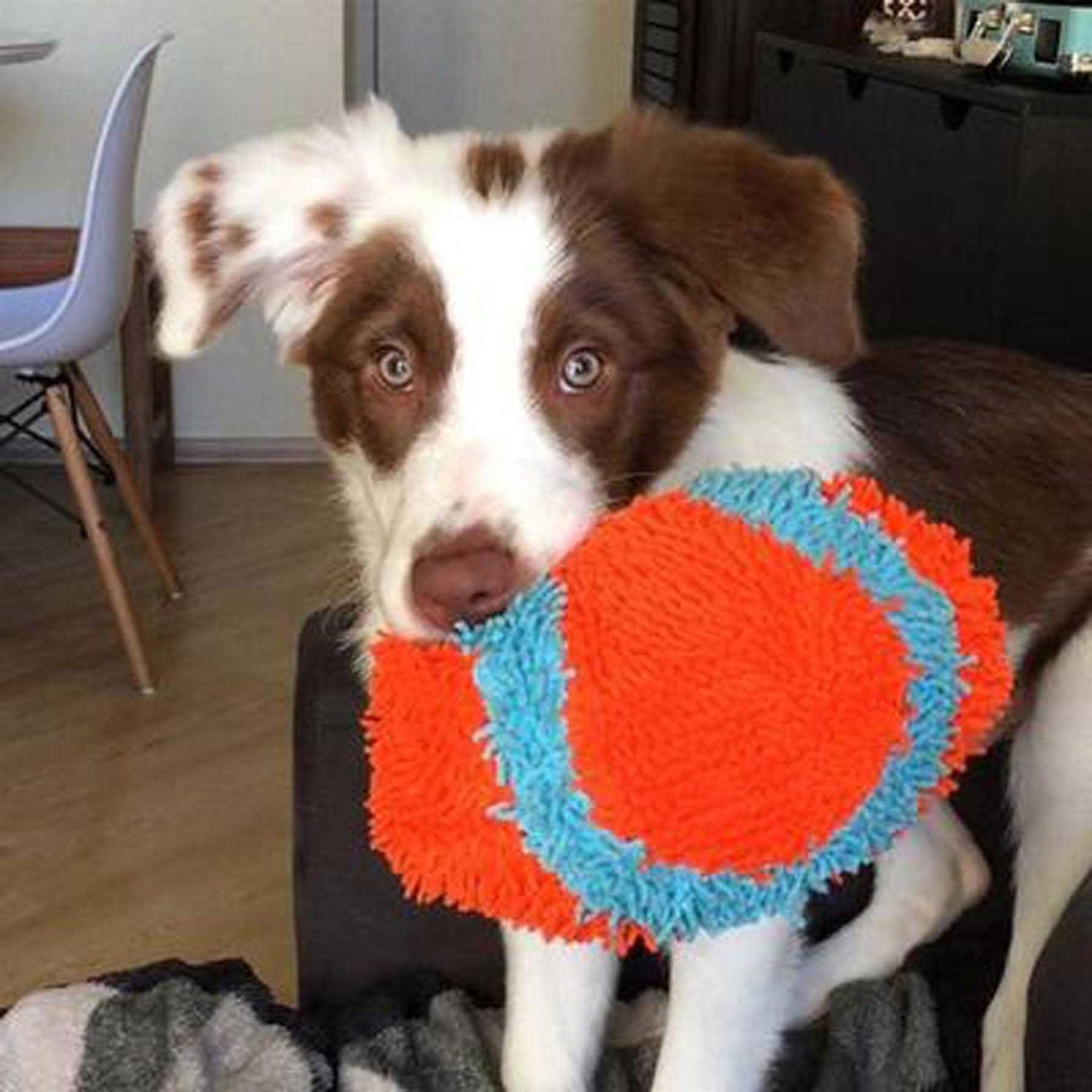 Chuckit! Indoor Fumbler Dog Toy - Nail Gallerys