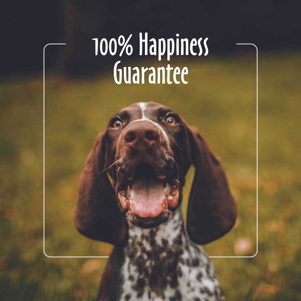 Earthbath Facial Wipes for Dogs & Cats - Nail Gallerys