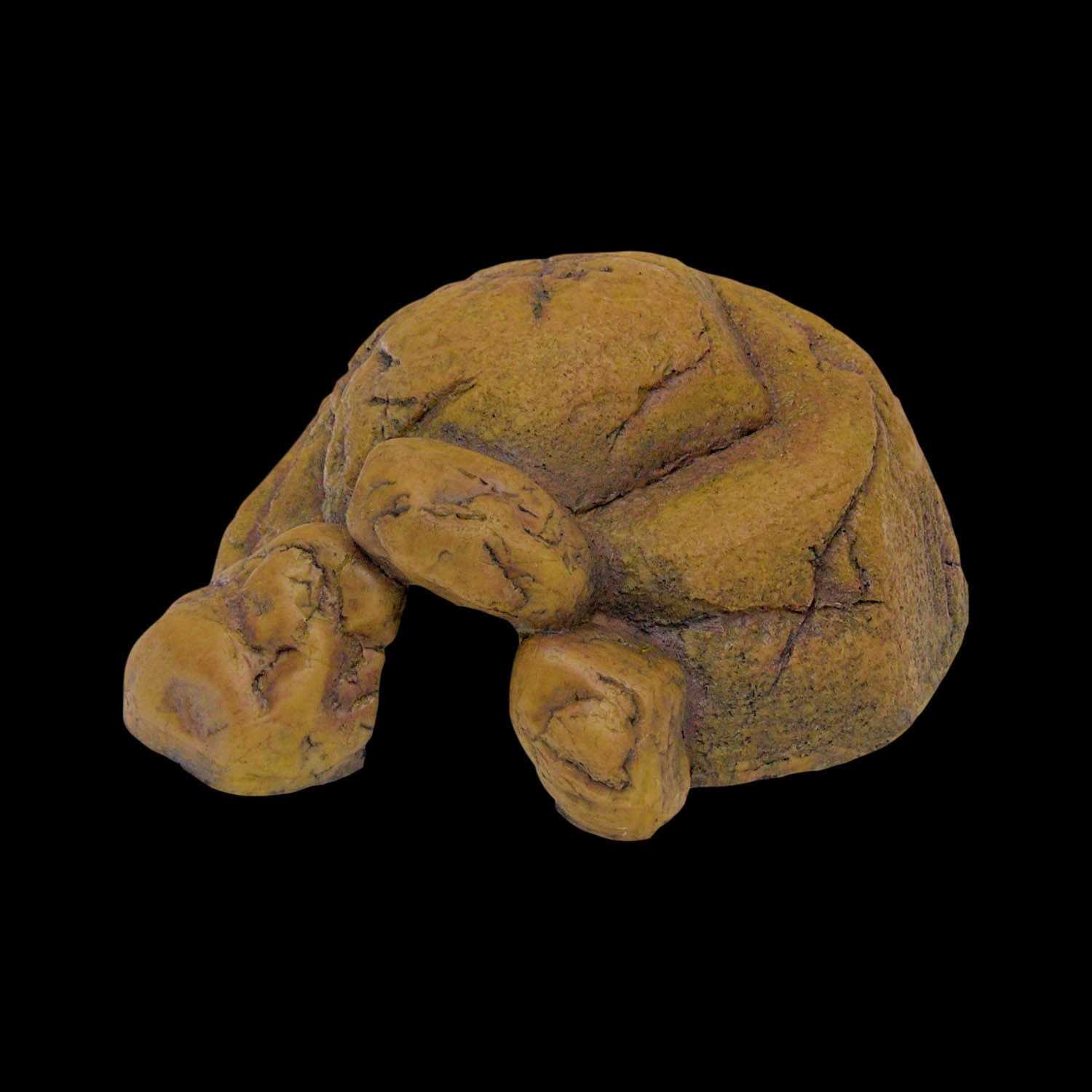 Exo-Terra Reptile Hiding Cave - Nail Gallerys