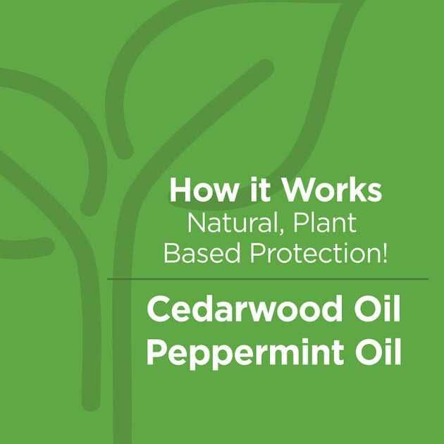 TevraPet Naturals Flea & Tick Topicals for Dogs 16 - Nail Gallerys