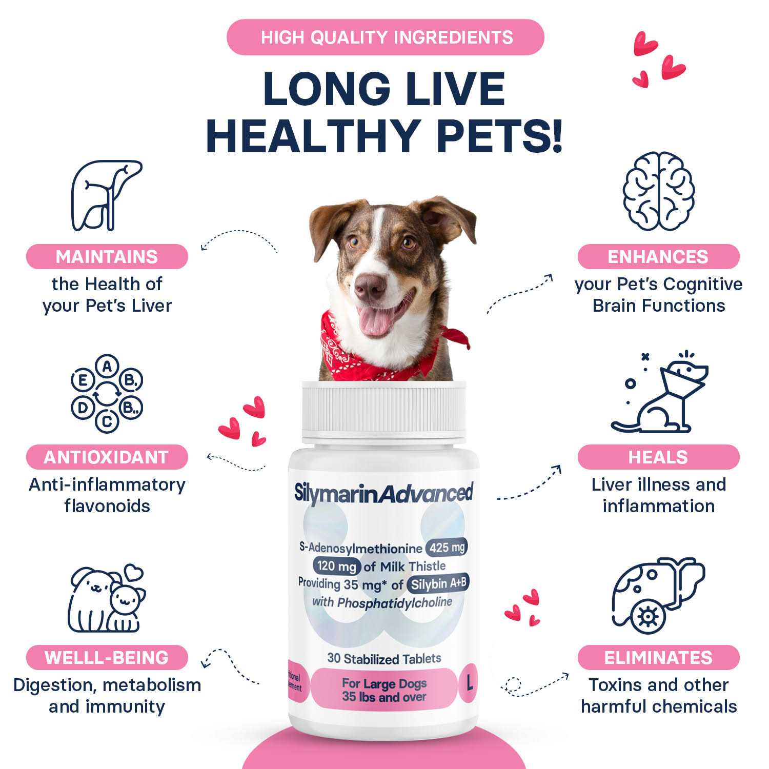 Silymarin Advanced Dogs and 30 tablets - Nail Gallerys