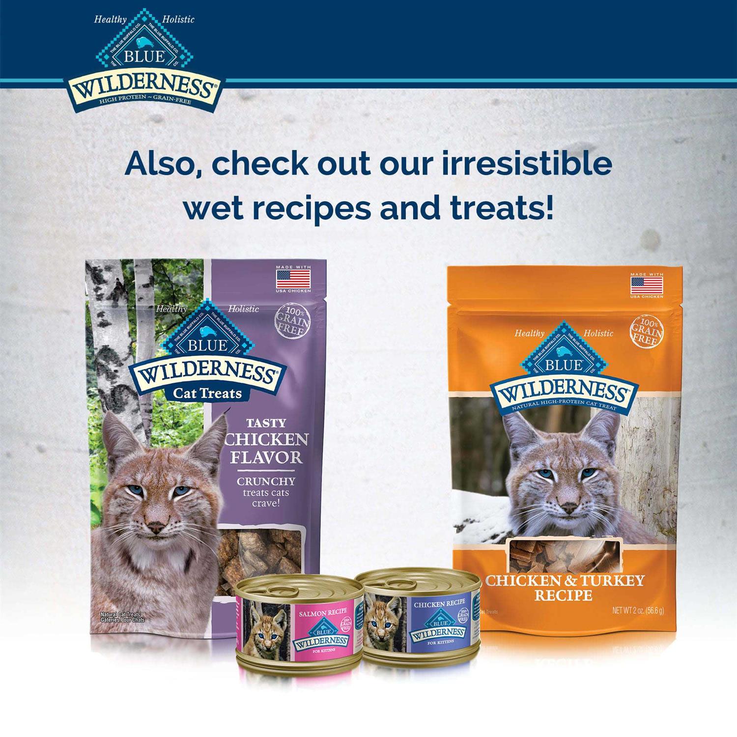 Blue Wilderness Kitten Dry Food - Nail Gallerys