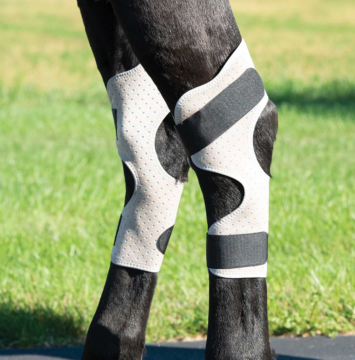 CoolCore Equine Icing and Cooling Hock Wraps - Nail Gallerys