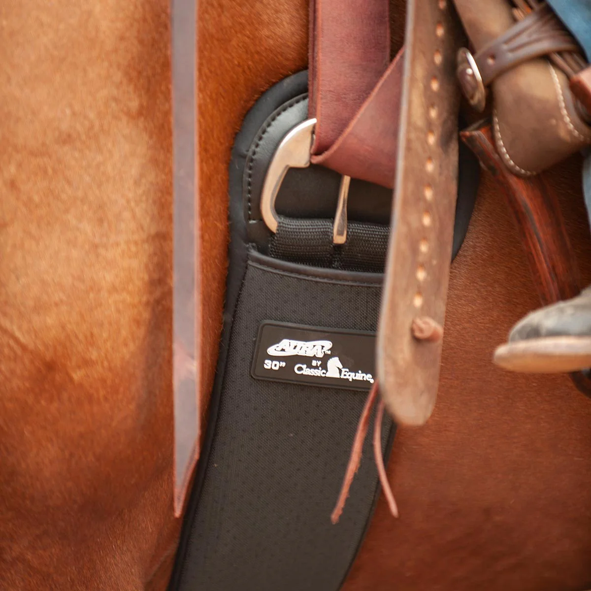 Classic Equine Aura Neoprene Straight Cinch with Stainless Steel Hardware - Nail Gallerys