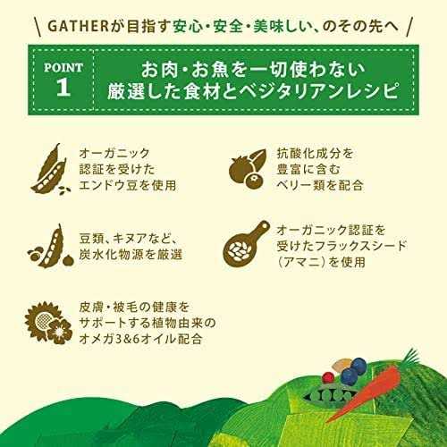 Gather Endless Valley Vegan Recipe with Organic Peas Adult Dry Dog Food - Nail Gallerys